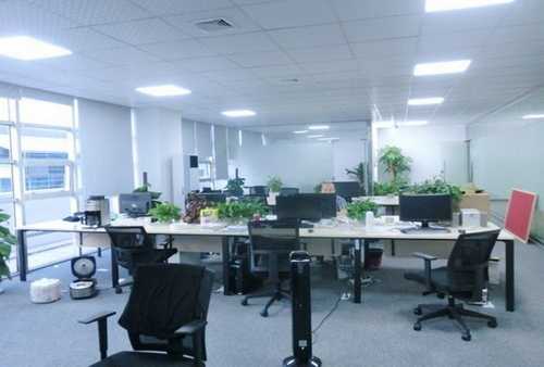 湖州新款乳胶枕联系方式