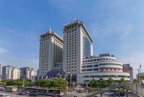 桥西区毛绒动物玩具供应商