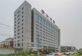 园林苗木/绿植/花卉销售批发