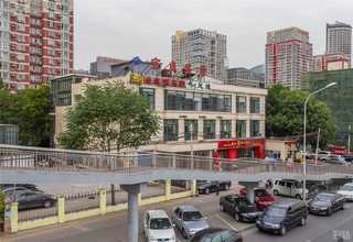 生普洱茶的区分